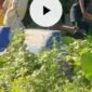 Video 3 Bocil Yang Viral di Kuburan 41 Detik via Mediafire
