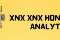 Xnx Xnx Honeywell Analytics 40 Manual