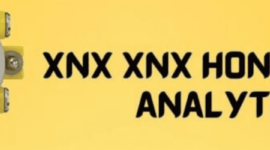 Xnx Xnx Honeywell Analytics 40 Manual