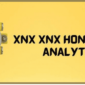 Xnx Xnx Honeywell Analytics 40 Manual