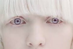 images 2